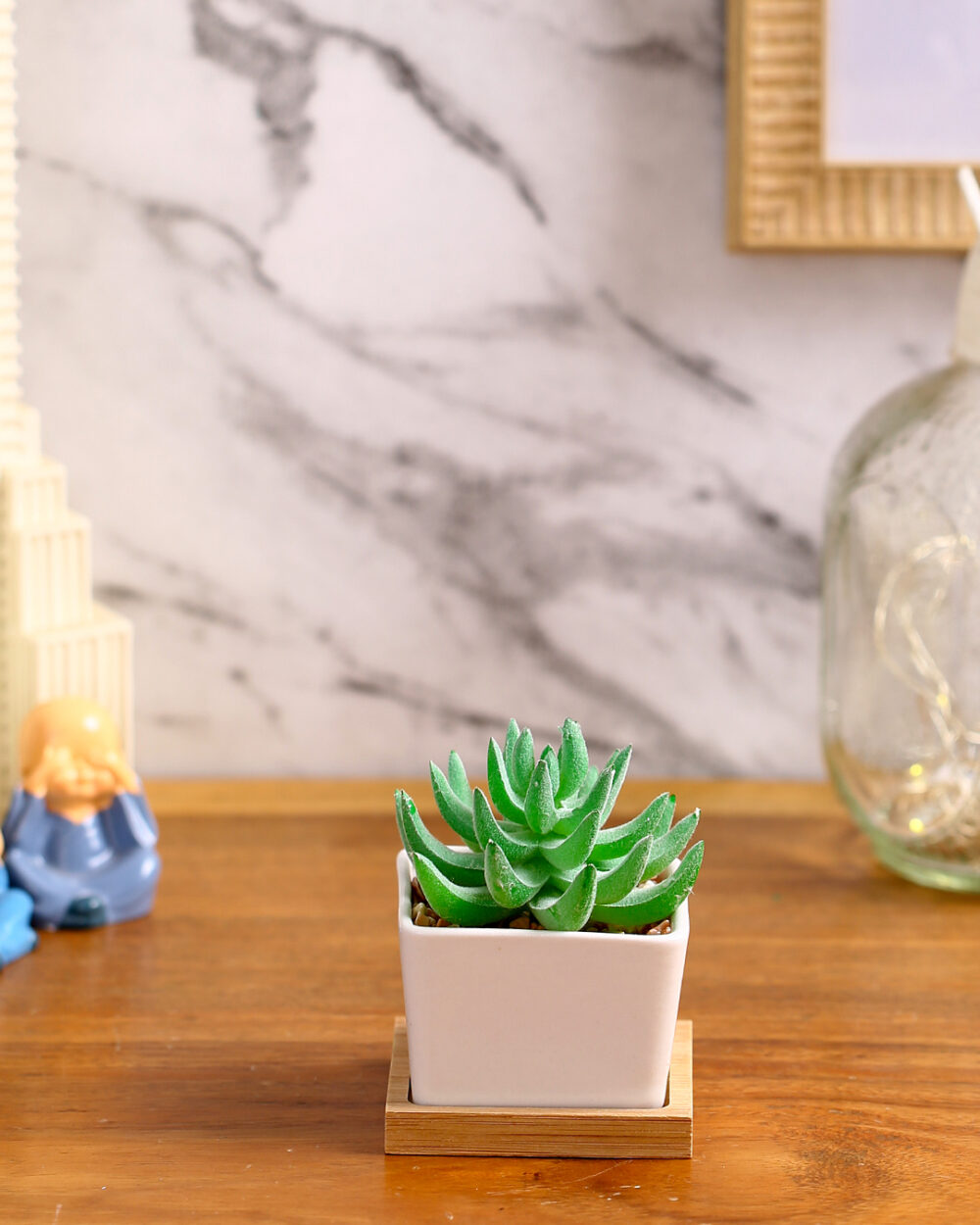 Premium Succulent Plant with Wooden Coaster