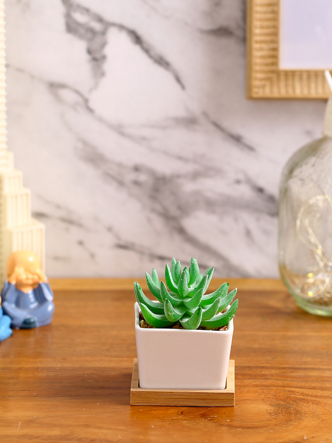 Premium Succulent Plant with Wooden Coaster