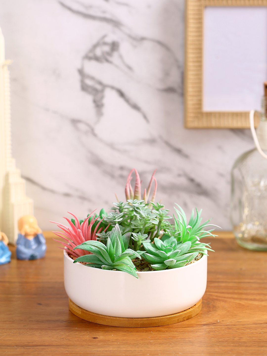 Fourwalls Premium Succulent Plant with Wooden Coaster (14 cm Tall)