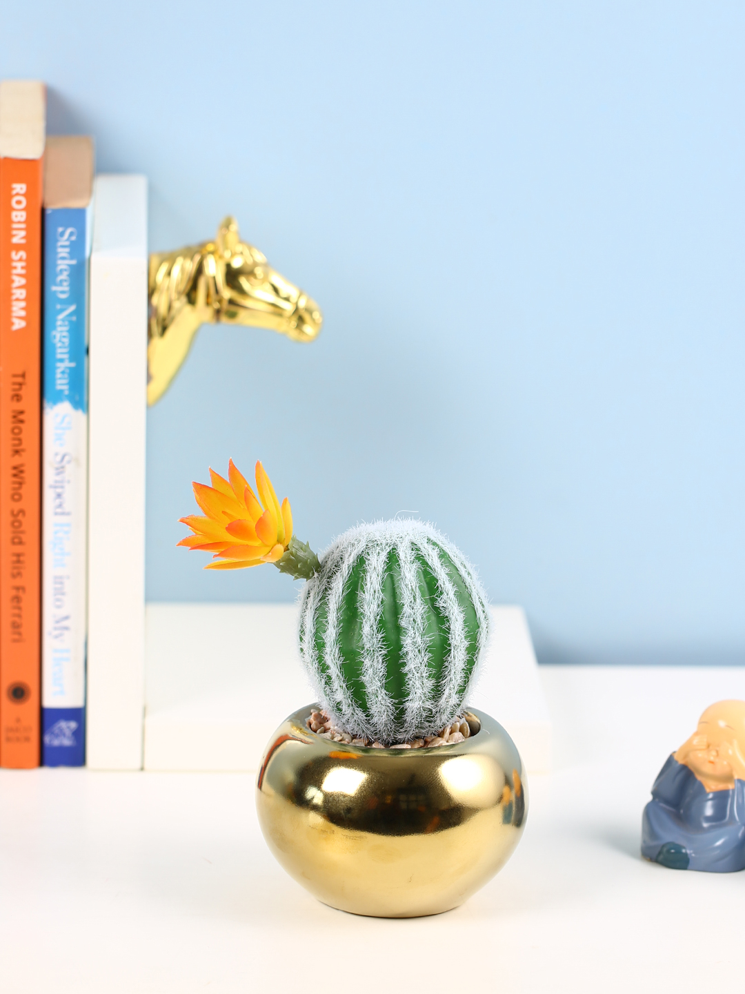 Fourwalls Stylish Succulent Plant with Round Pot (17 cm Tall)