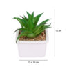 Fourwalls Artificial Succulent Plant with a Ceramic Pot (15 cm Tall)
