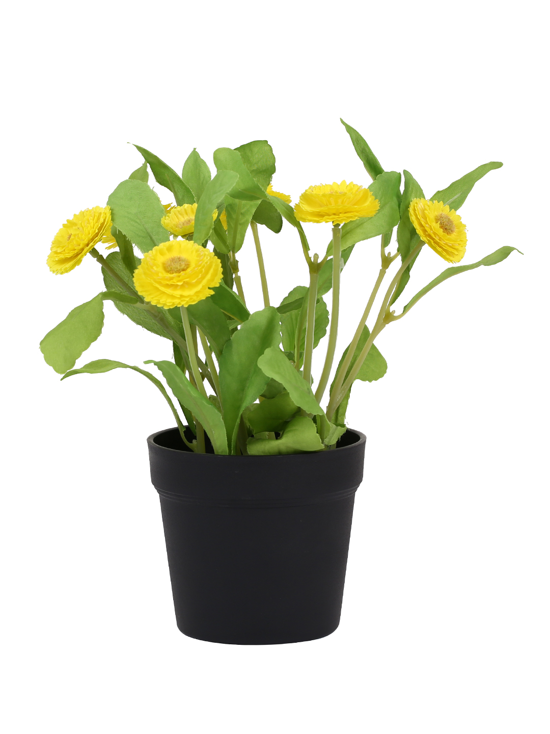 Fourwalls Artificial Daisy Plant in Plastic Pot (25 cm Tall) - Image 4