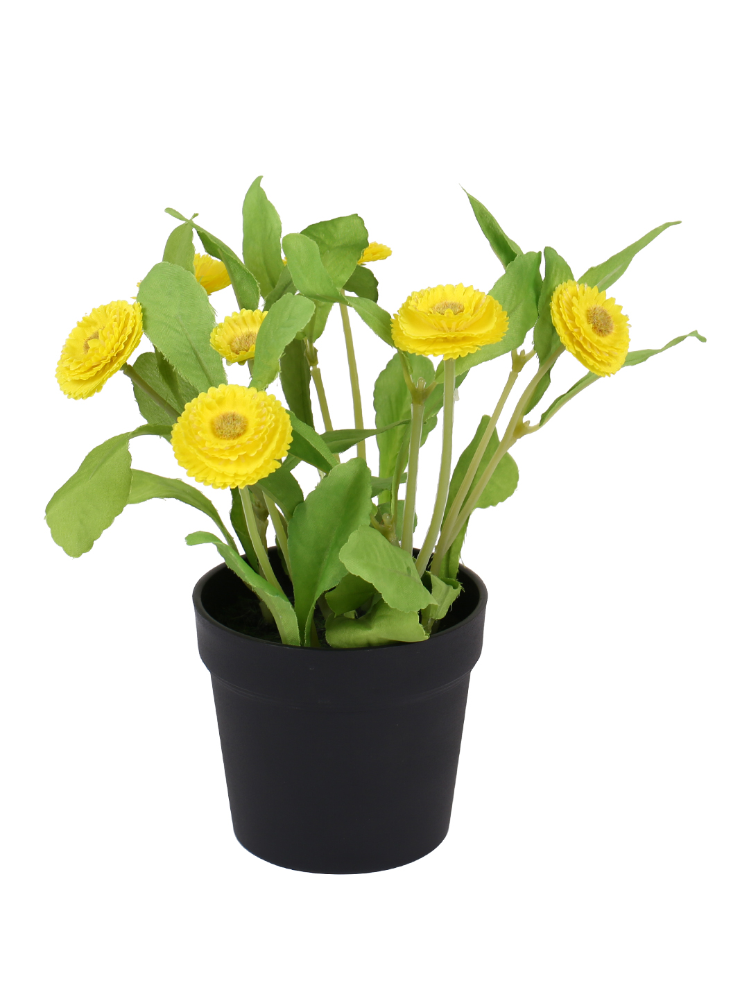 Fourwalls Artificial Daisy Plant in Plastic Pot (25 cm Tall) - Image 3