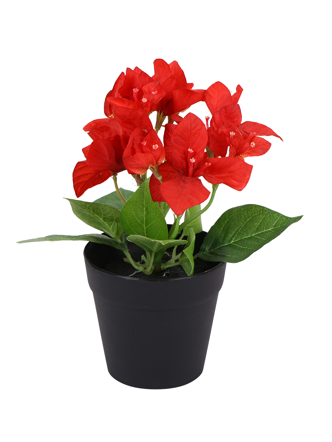 Fourwalls Artificial Bougainvillea Potted Plant in Plastic Pot (19 cm Tall) - Image 4