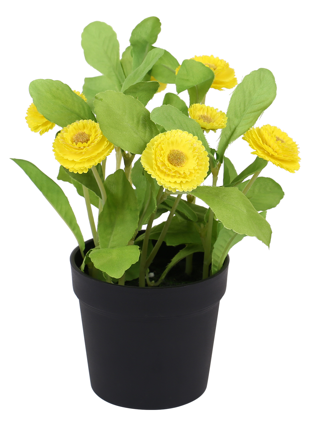 Fourwalls Artificial Daisy Plant in Plastic Pot (25 cm Tall) - Image 2