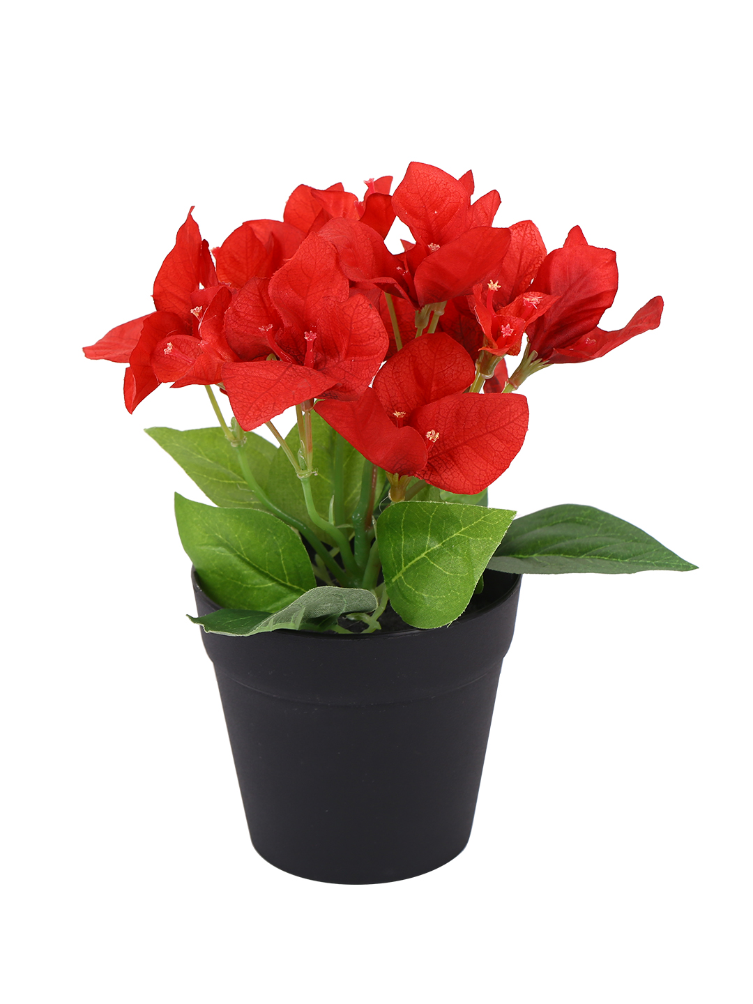 Fourwalls Artificial Bougainvillea Potted Plant in Plastic Pot (19 cm Tall) - Image 5