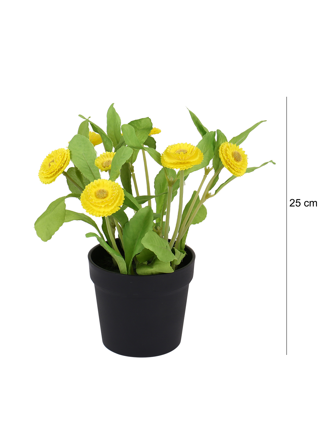 Fourwalls Artificial Daisy Plant in Plastic Pot (25 cm Tall) - Image 5