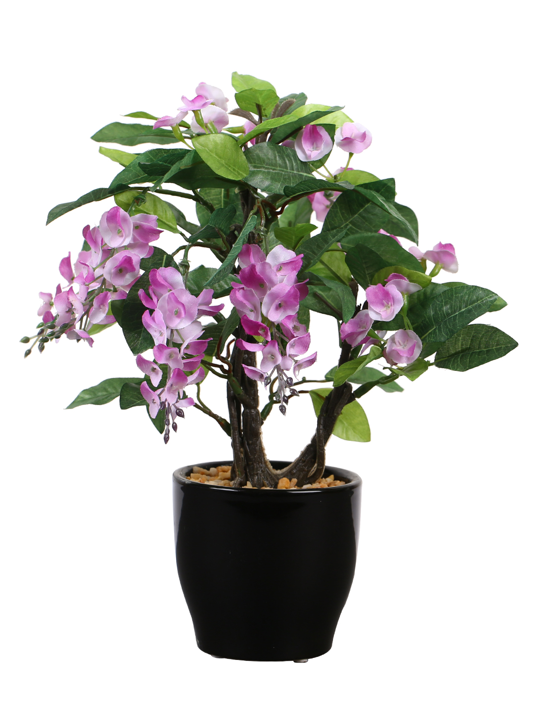 Fourwalls Artificial Wisteria Plant in Ceramic Pot (25 cm Tall) - Image 3