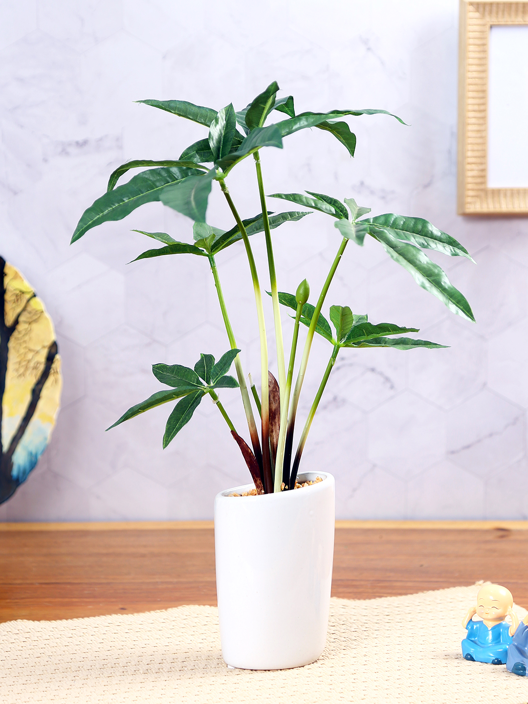 Fourwalls Pachira Plant in Ceramic Pot (38 cm Tall)