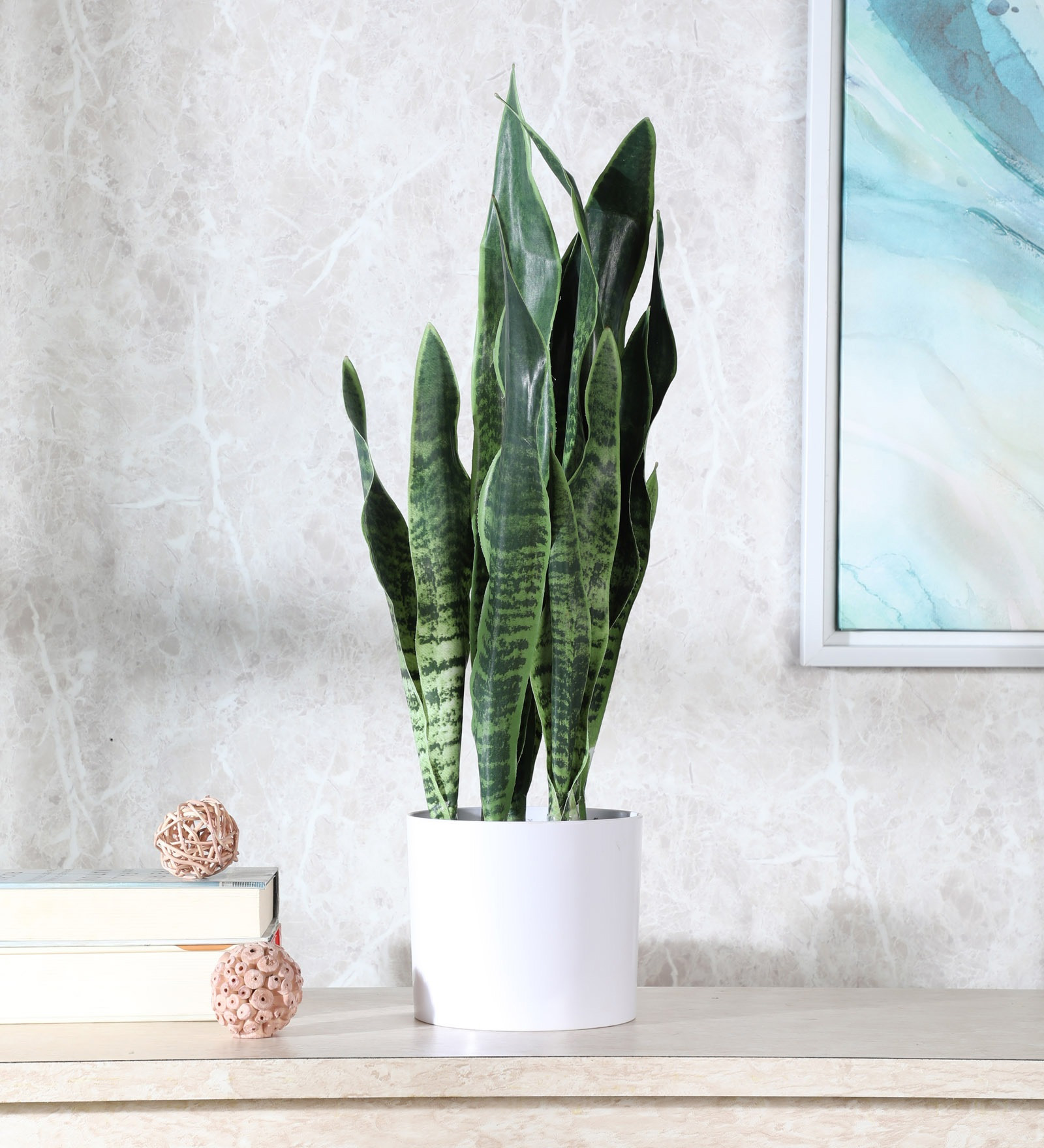 Fourwalls Snake Plant in Plastic Pot (65 cm Tall, Dark Green)