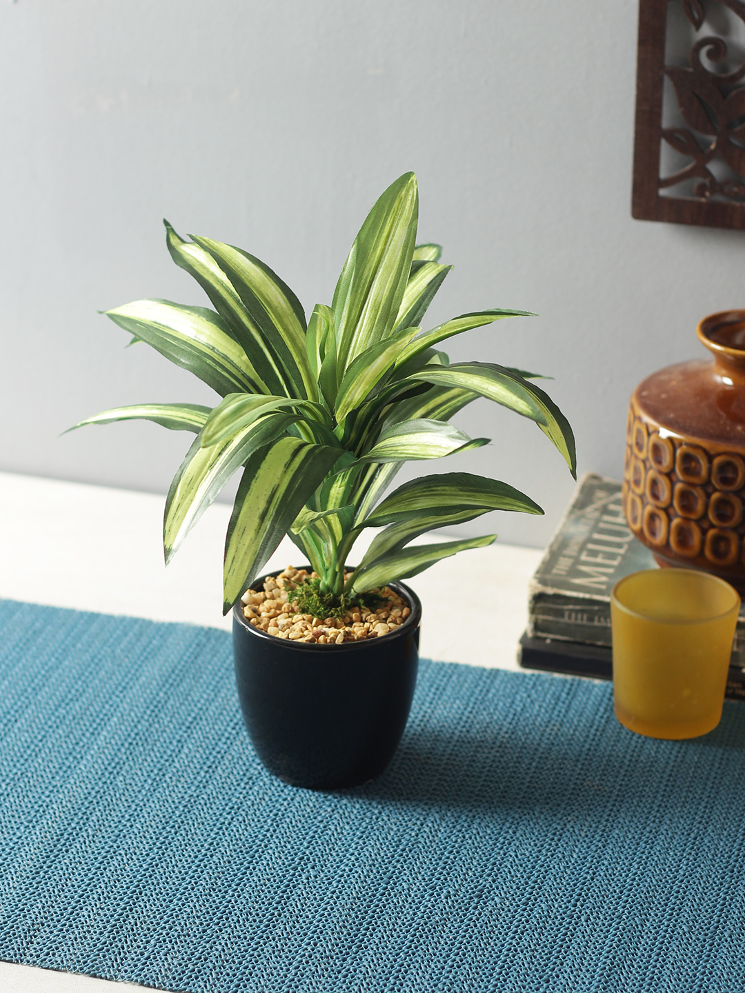 Fourwalls Dracaena Plant in Ceramic Pot (24 cm Tall)