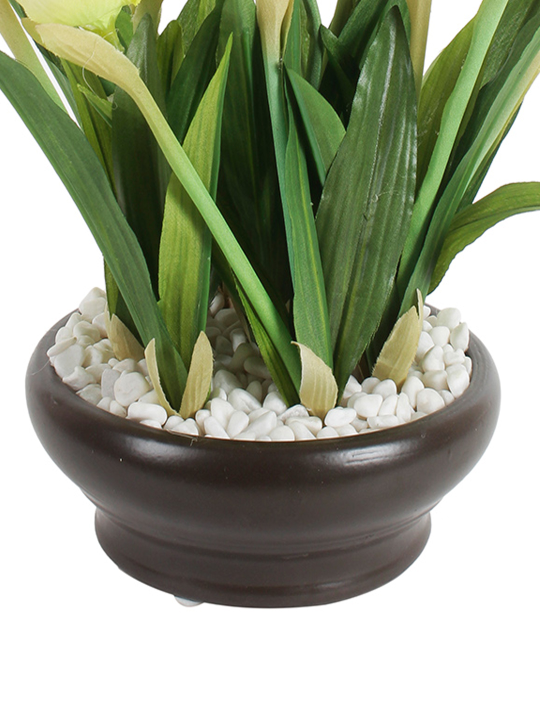 Fourwalls Artificial Tulip Plant in Ceramic Pot (26 cm Tall) - Image 3