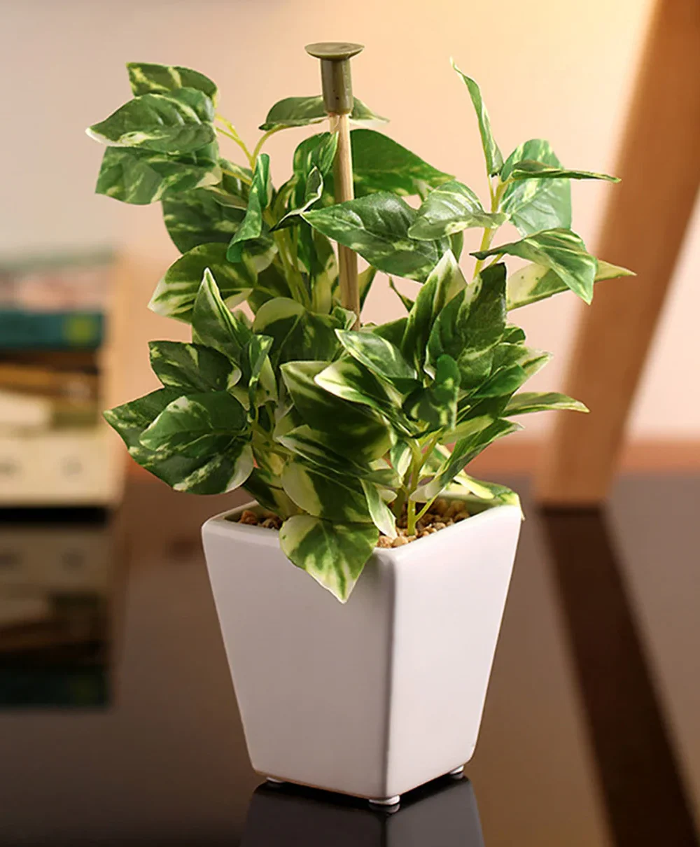 Fourwalls Artificial Wandering Potted Plant in Ceramic Pot (19 cm Tall)