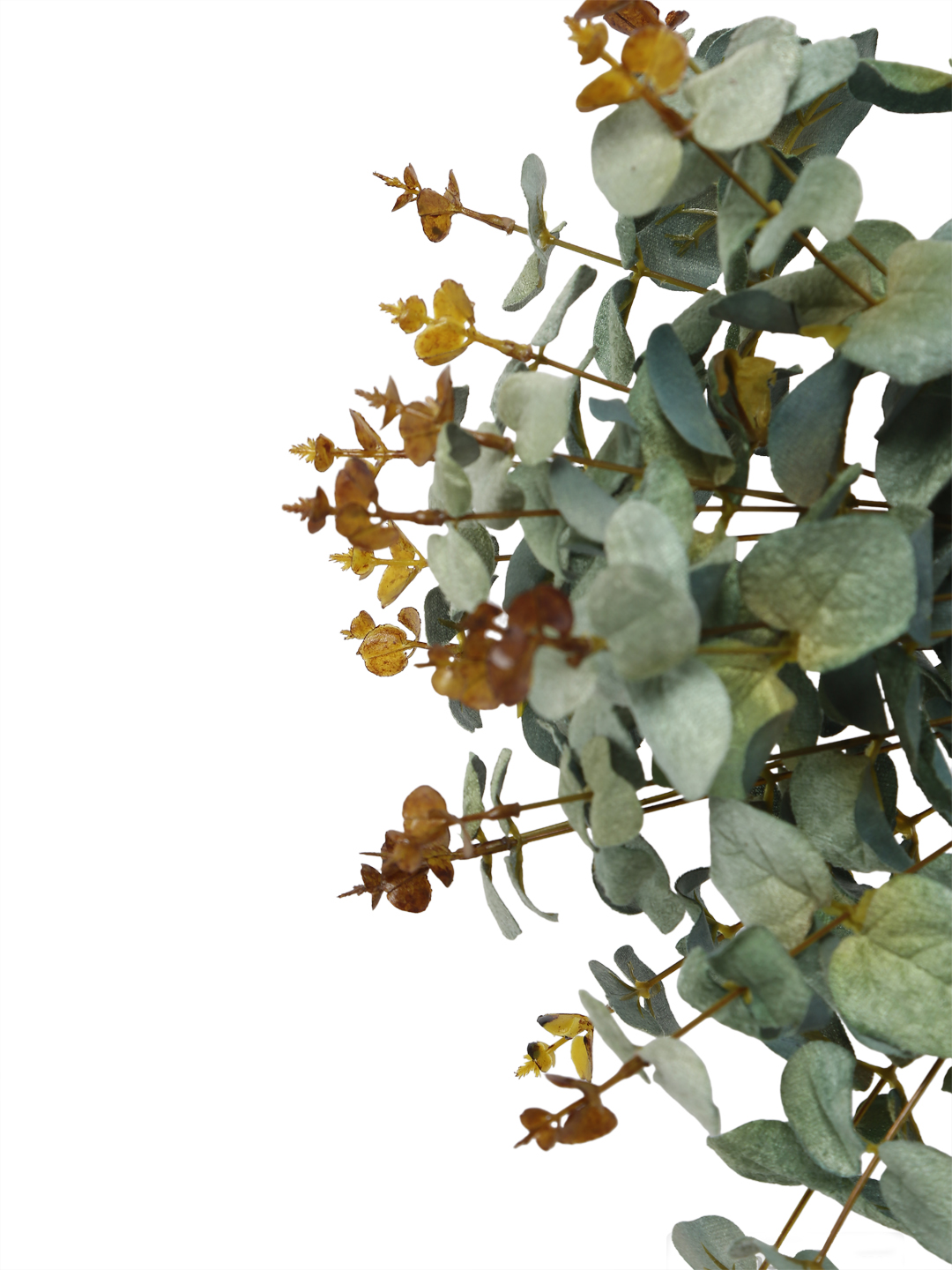 Fourwalls Premium Eucalyptus Velvet Flower Bunch (47 cm Tall, 20 Heads, Green) - Image 4