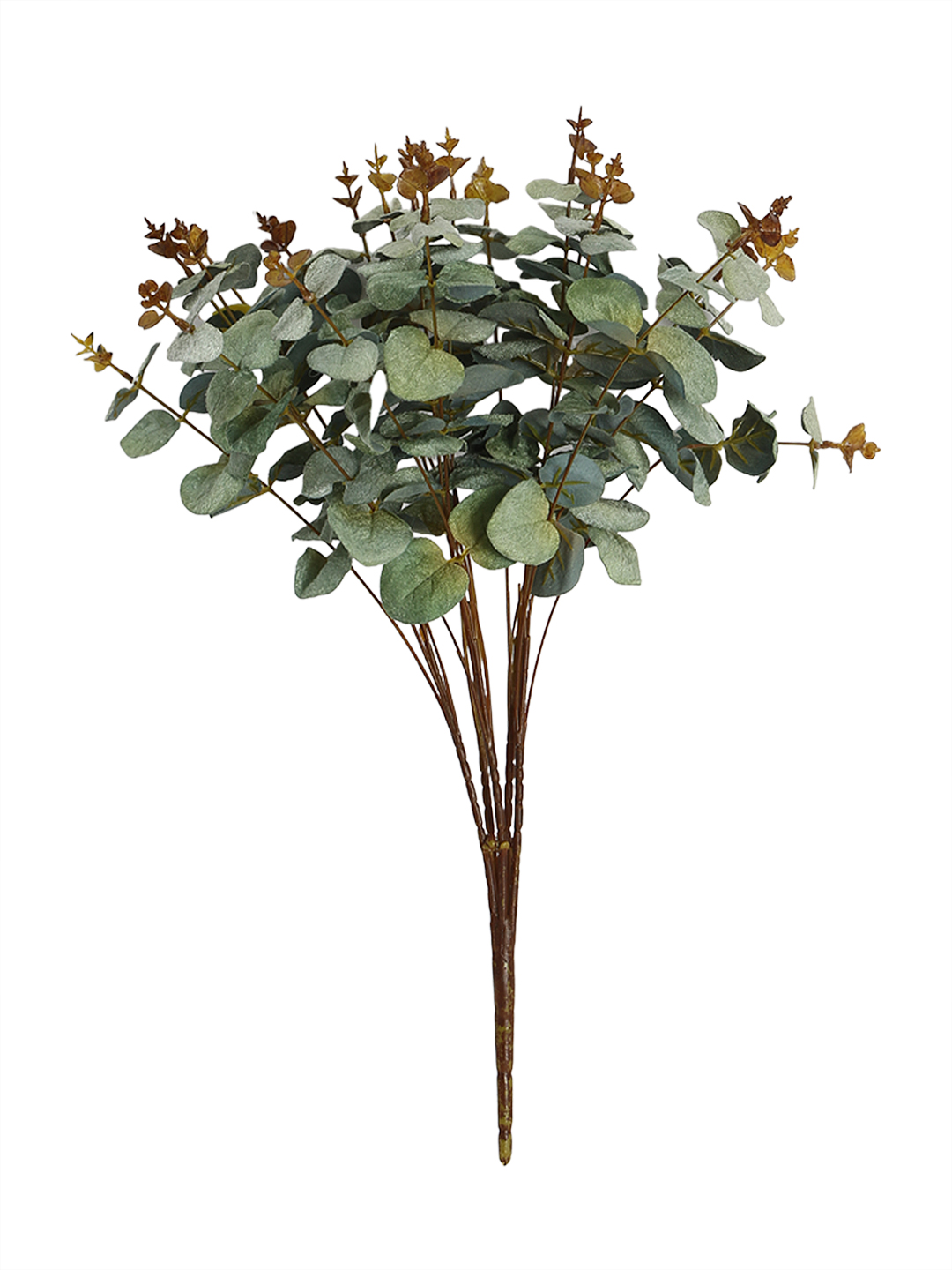 Fourwalls Premium Eucalyptus Velvet Flower Bunch (47 cm Tall, 20 Heads, Green) - Image 5