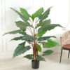 Artificial Alocasia Plant