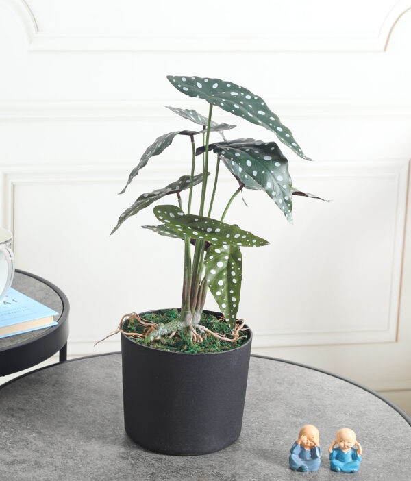 Buy Artificial Elephant Ear Plant Online