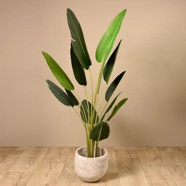 Artificial Plants - Buy Travelers Palm Trees with Pot Online at Best Prices