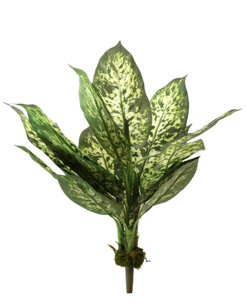 Buy Artificial Plants from Direct Importers and wholesalers