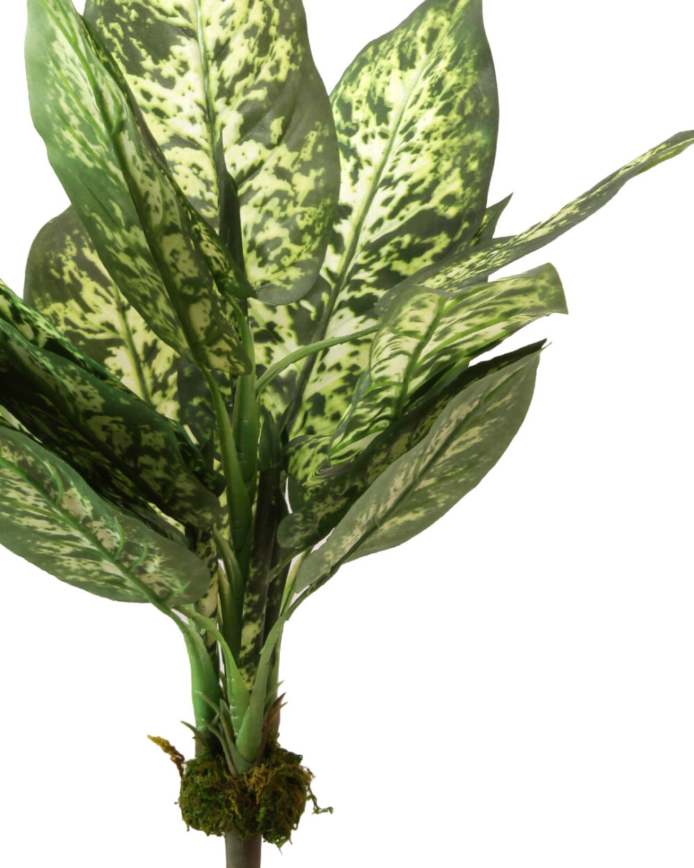 Buy Artificial Plants from Direct Importers and wholesalers