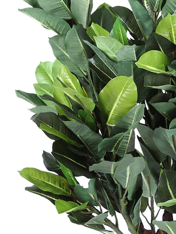 Buy Fourwalls Artificial Quercus Plant From Importer 70 cm - Mumbai