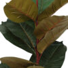 Buy Artificial Rubber Plant for Home Decor 75 cm - Fourwalls