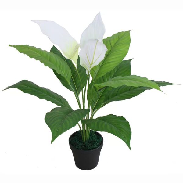 Buy Artificial Spathiphyllum Plant From Importer 2 Feet - Fourwalls