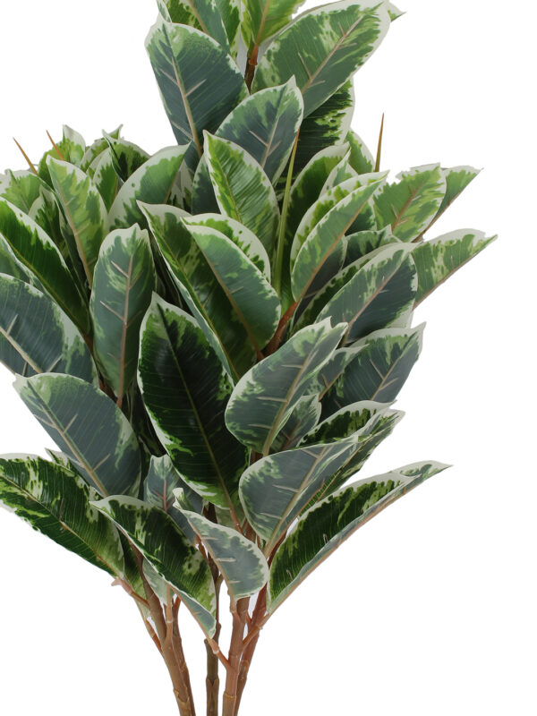 Buy Artificial Dieffenbachia Plant Online 65 cm - Mumbai