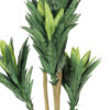 Buy Artificial Dracaena Plant 3 Feet - Fourwalls