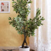 Buy Artificial Variegated Ficus Plant Online - Fourwalls
