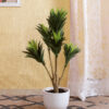 Buy Artificial Dracaena Plant 3 Feet - Fourwalls