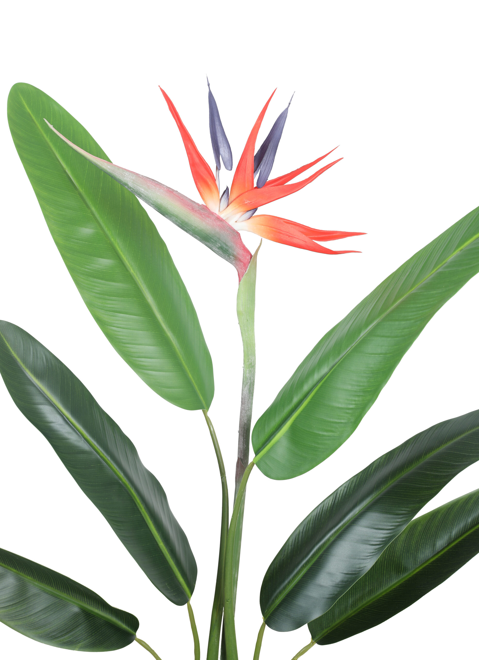 Artificial Birds of Paradise Plant - 3.5 Feet Tall - Image 3
