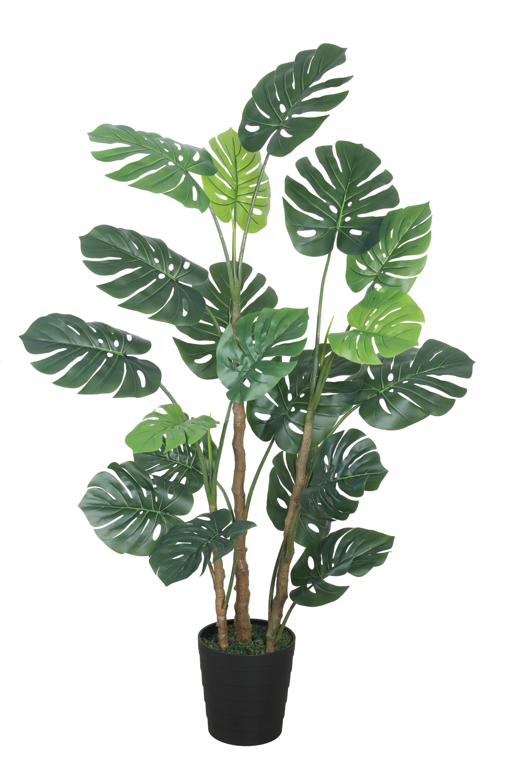 Monstera Plant Rubber Touch - 5.4 Feet Tall - Image 2