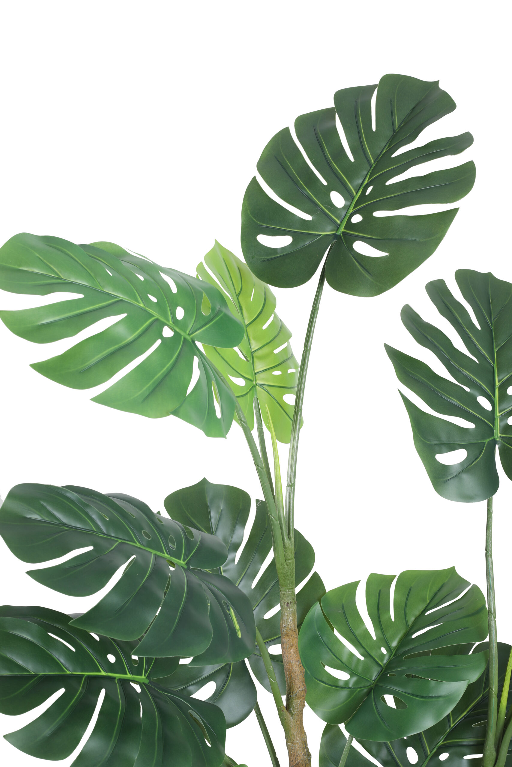 Monstera Plant Rubber Touch - 5.4 Feet Tall - Image 4