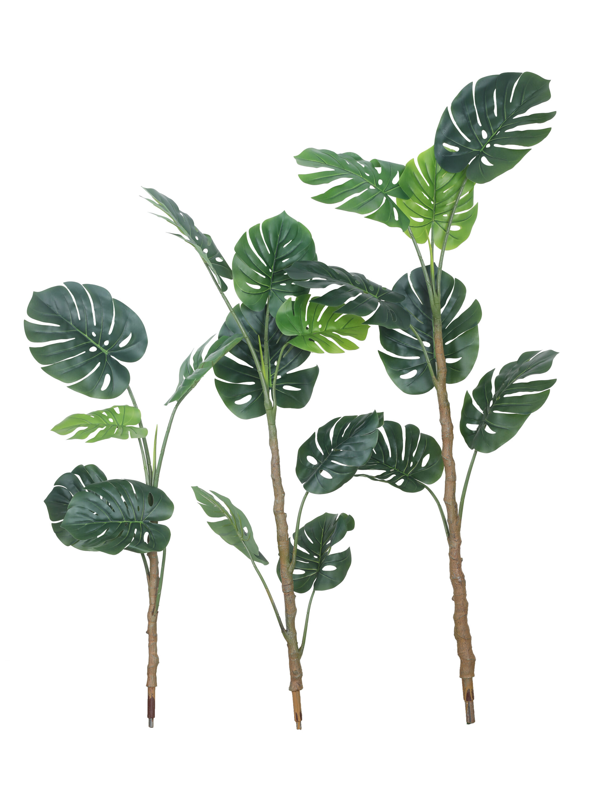 Monstera Plant Rubber Touch - 5.4 Feet Tall - Image 3