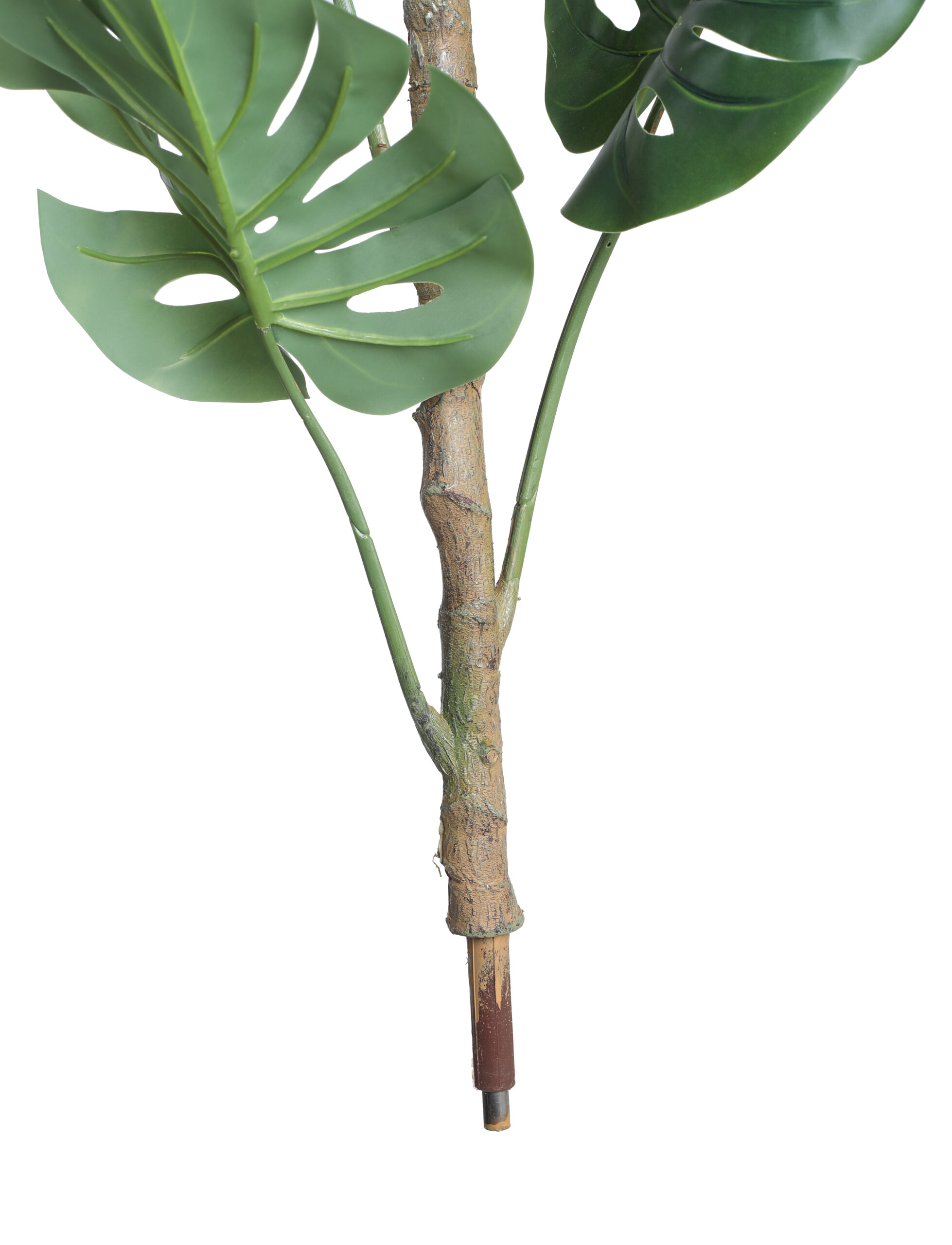 Monstera Plant Rubber Touch - 5.4 Feet Tall - Image 5