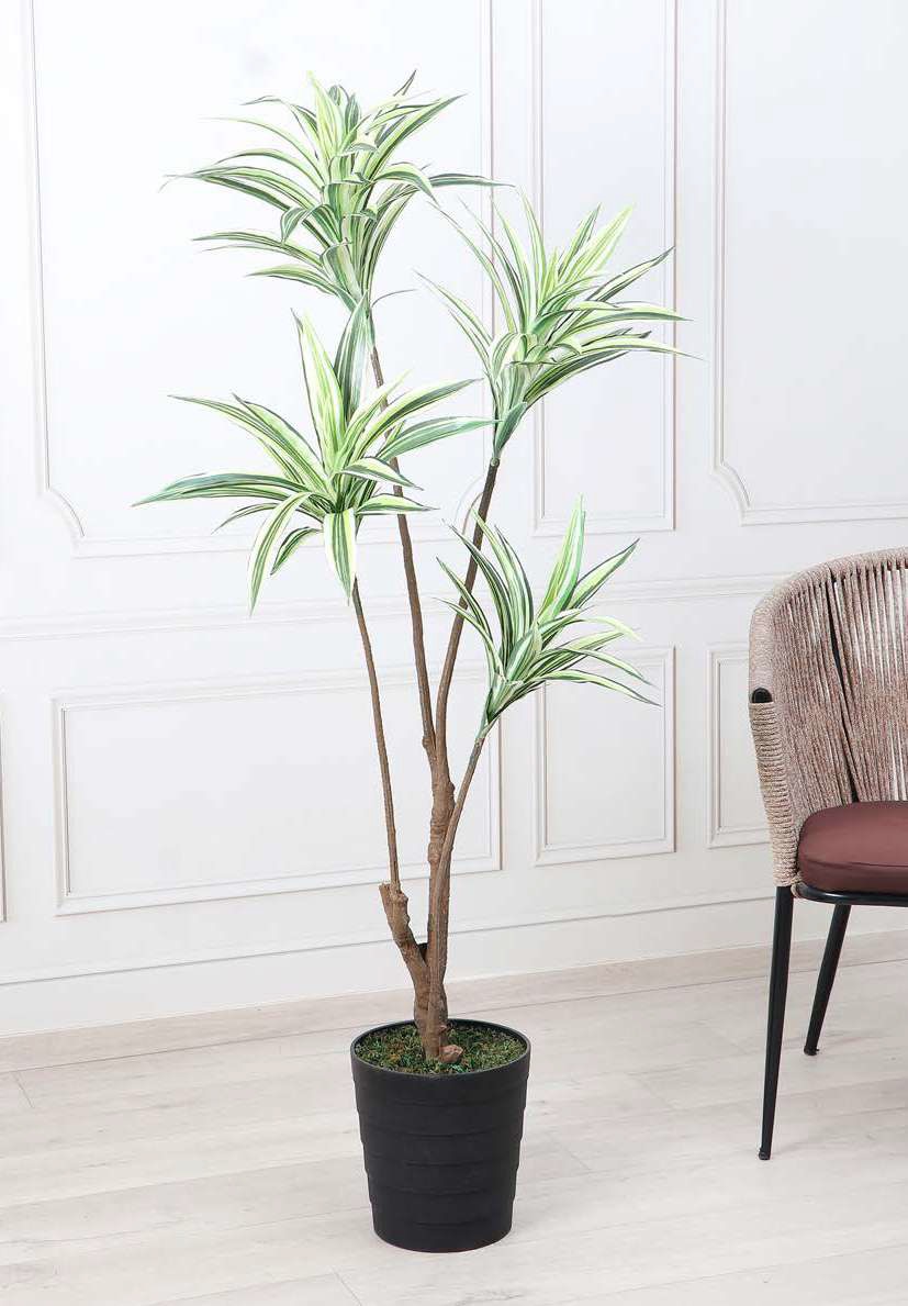 Fourwalls Artificial Dracaena Plant - 5.5 Feet, Green/White