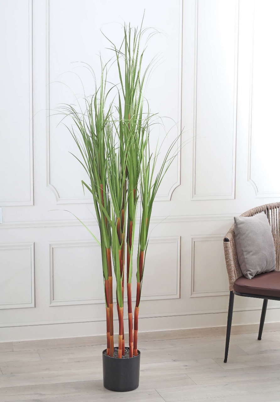 Fourwalls Artificial Sugarcane Plant with Pot - 4 Feet, Green