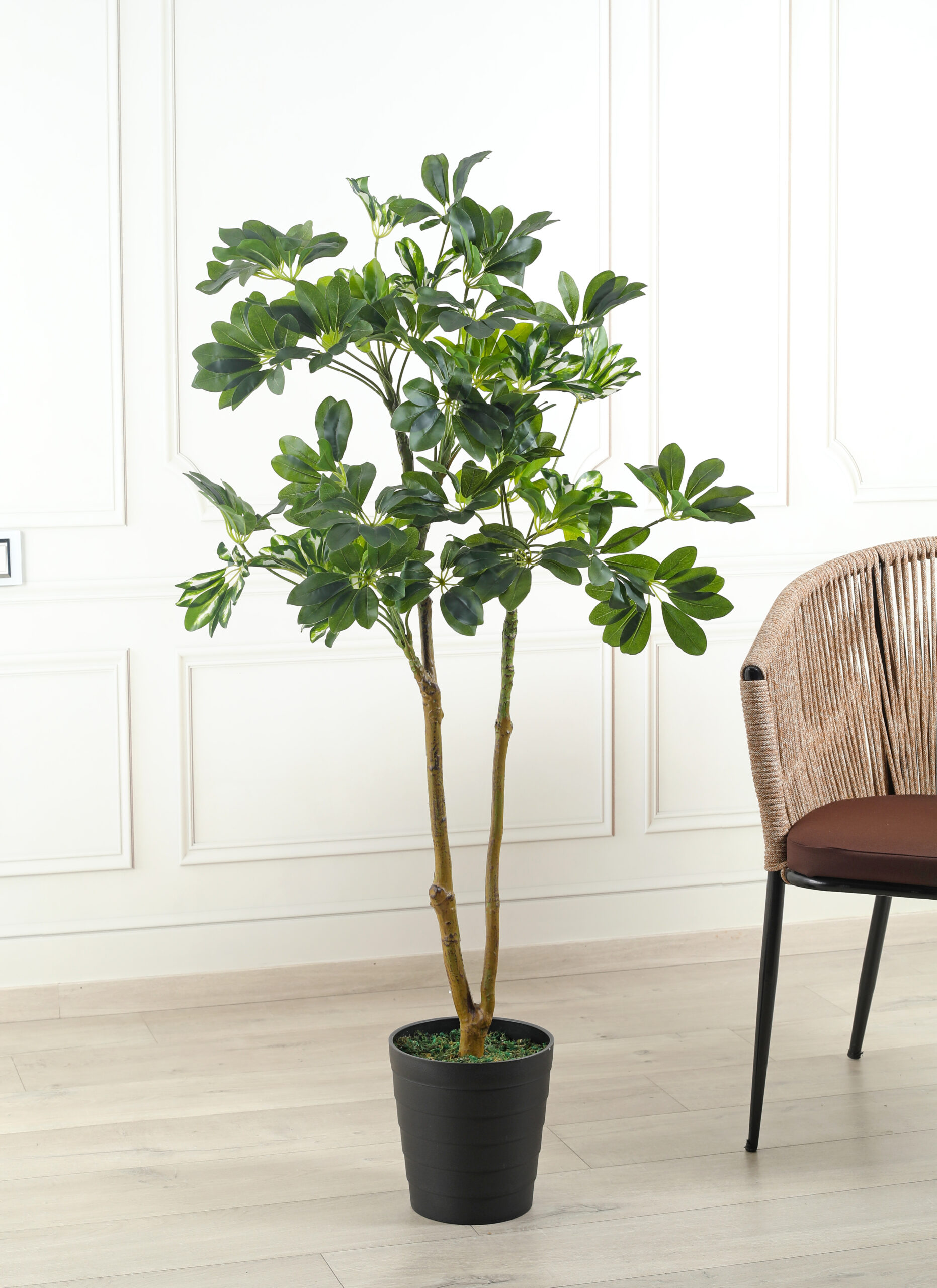 Artificial Schefflera Plant - 4.5 Feet