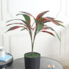 Fourwalls Artificial Cordyline Plant