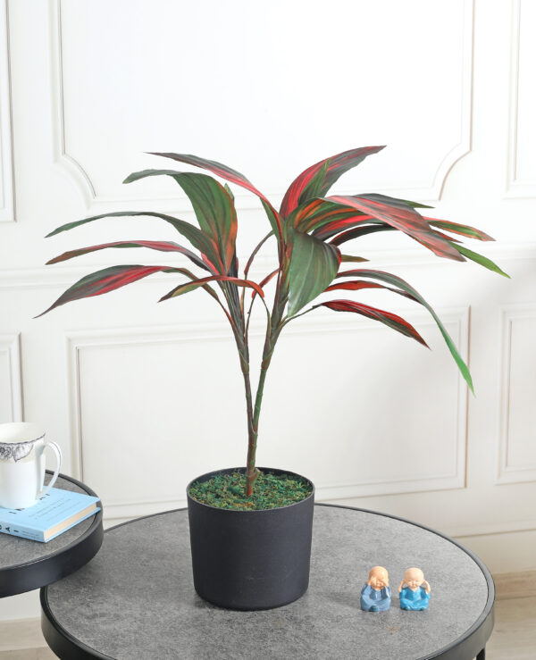 Fourwalls Artificial Cordyline Plant