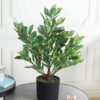 Fourwalls Artificial Quercus Plant – 2 Feet, Green/White