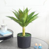 Fourwalls Artificial Agave Plant – 1.7 Feet