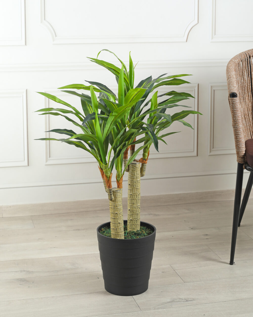 Fourwalls Artificial Dracaena Plant