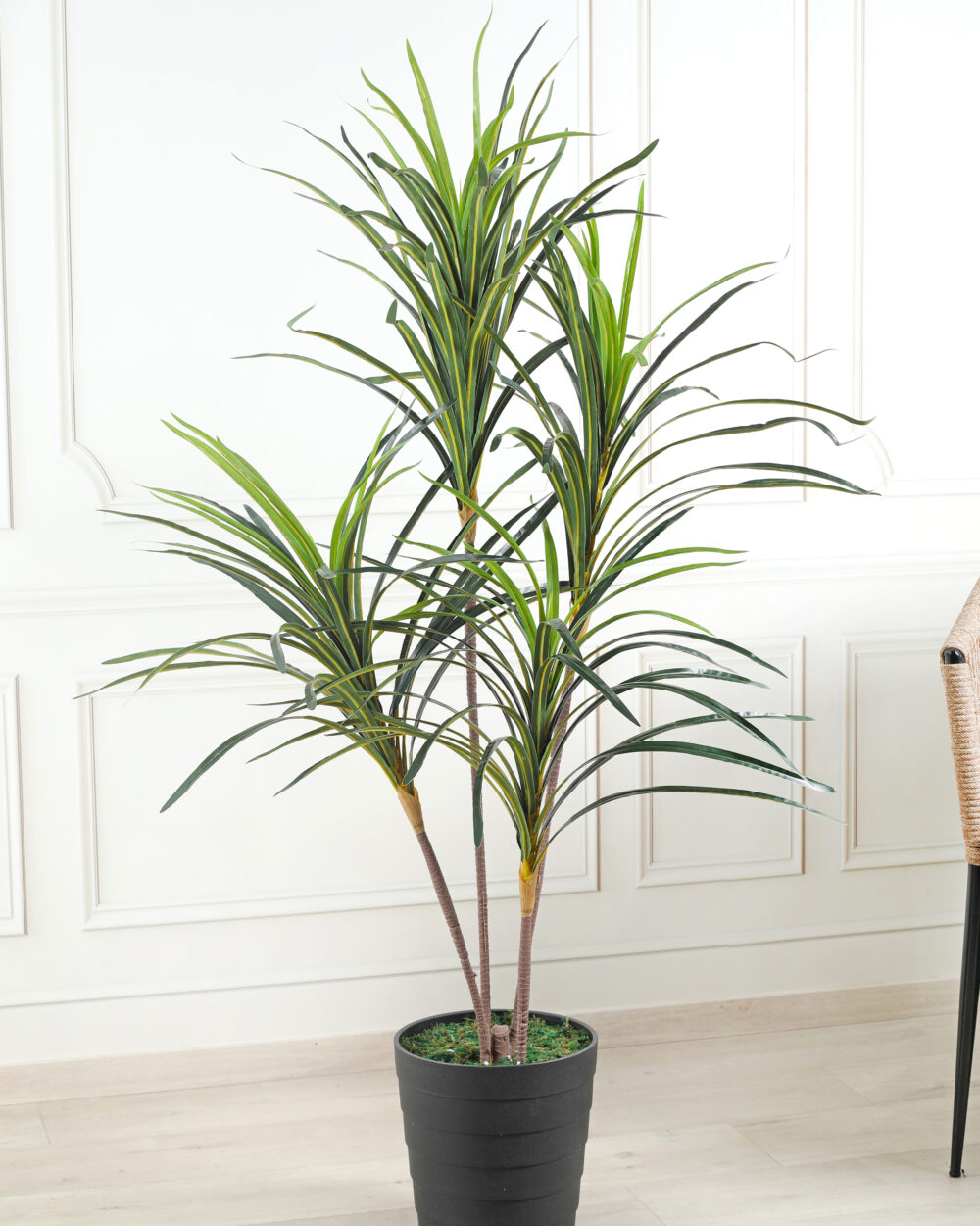 Fourwalls Artificial Dracaena Plant - 4 Stumps, 4.2 Feet, Green
