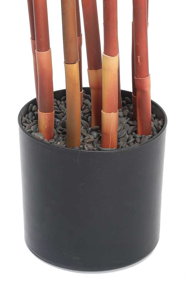 Fourwalls Artificial Sugarcane Plant with Pot - 4 Feet, Green - Image 3