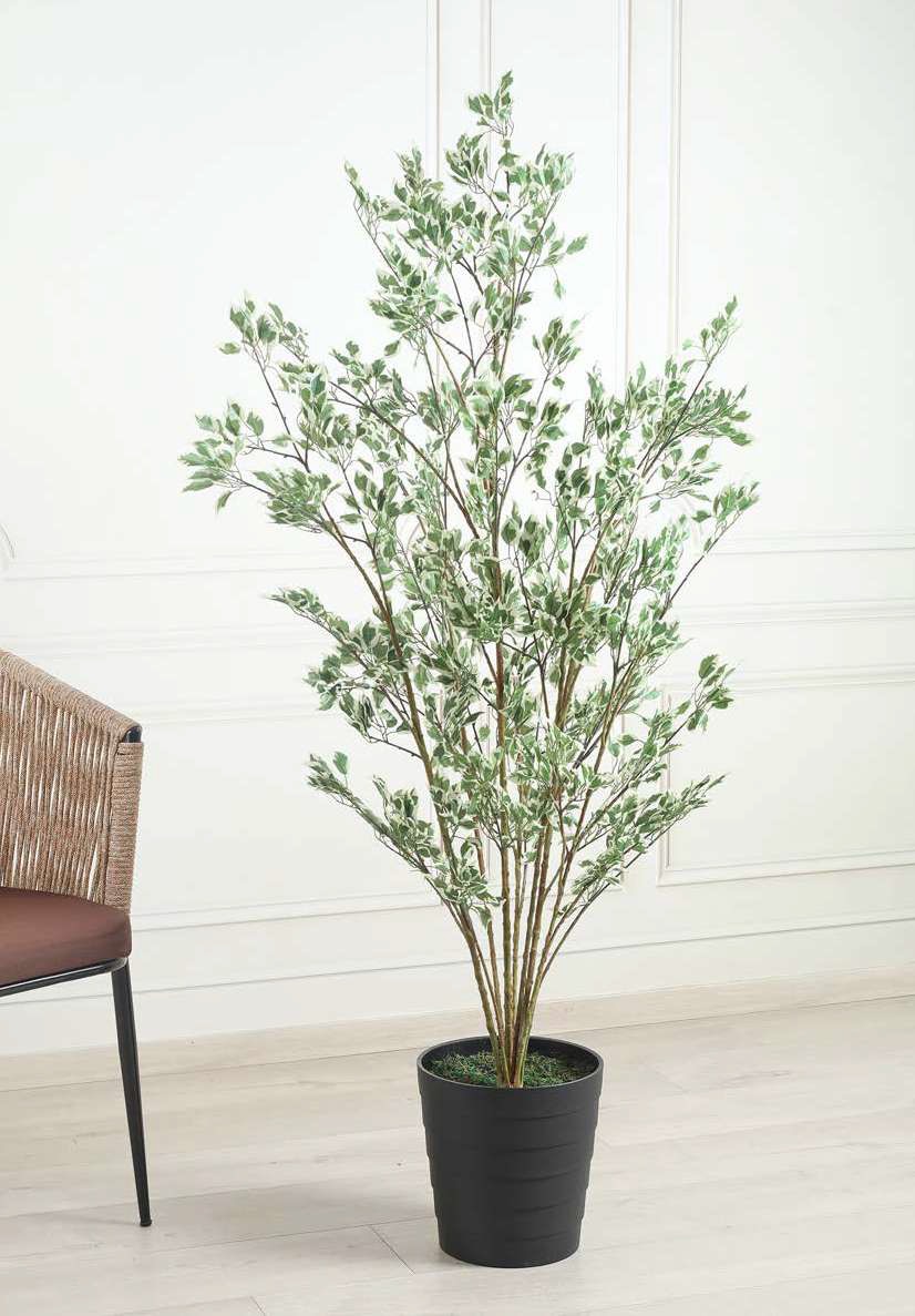 Fourwalls Artificial Small Leaves Ficus Plant - 5 Feet