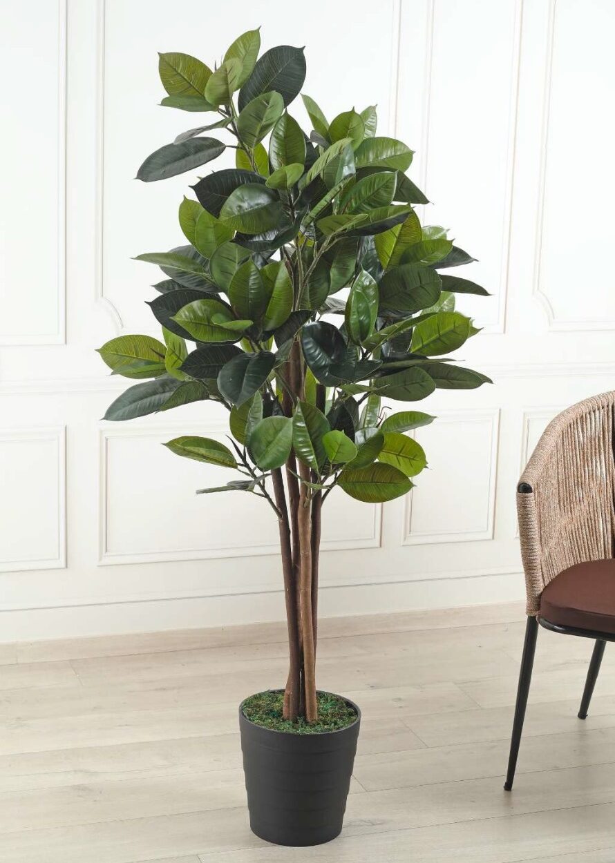 Fourwalls Artificial Rubber Plant - 5 Feet