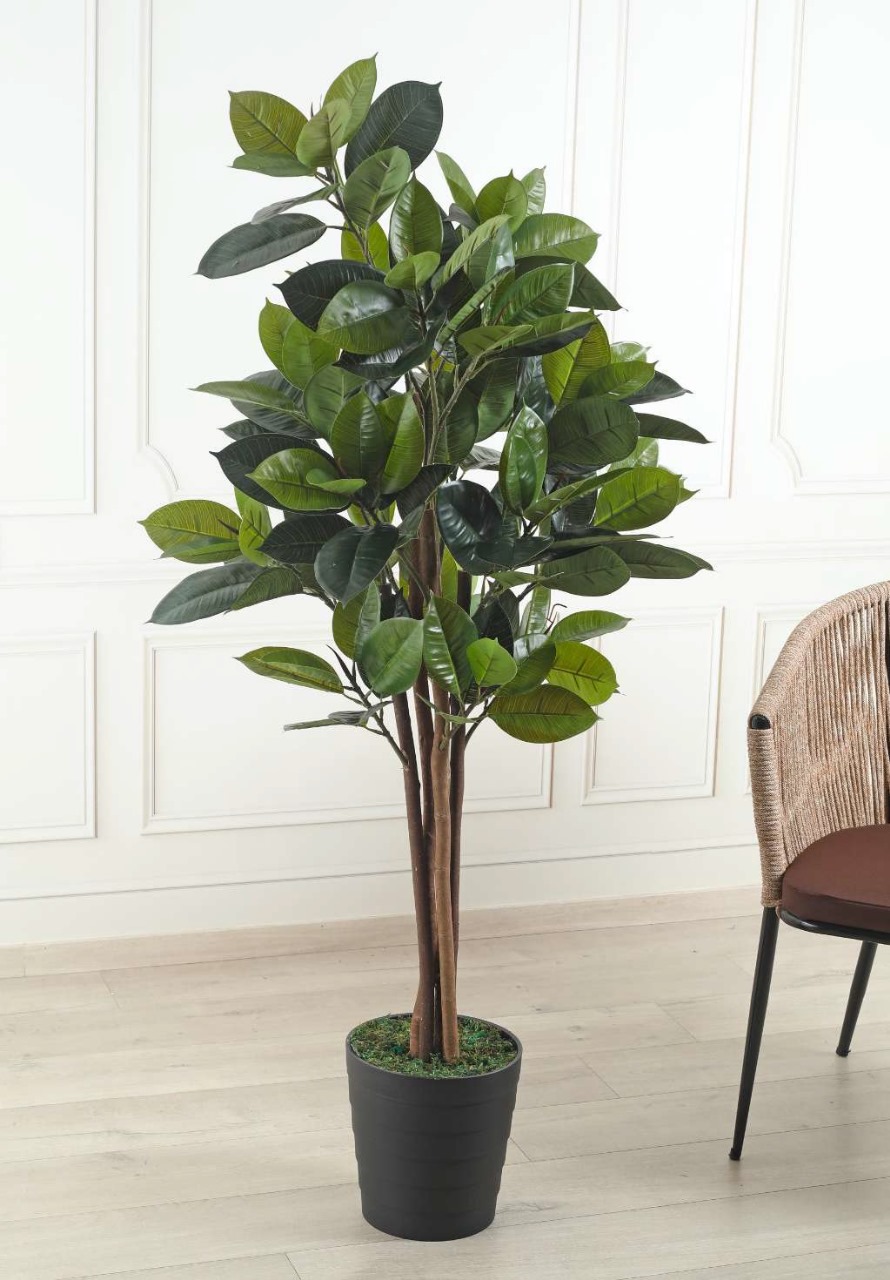 Fourwalls Artificial Rubber Plant - 5 Feet