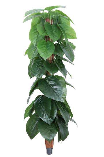 Fourwalls Artificial Alocasia Plant on Moss Pole - 5 Feet - Image 3